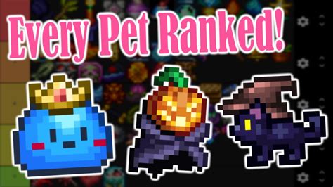 Ranking Every Pet In Terraria! (1.4) .